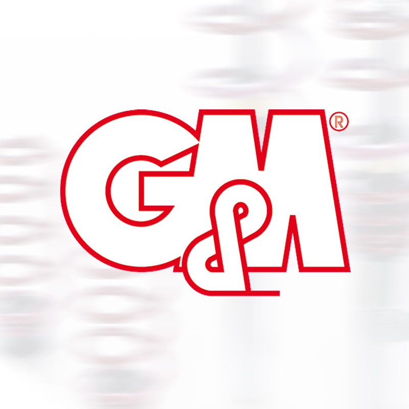 G&M Sportfahrwerk