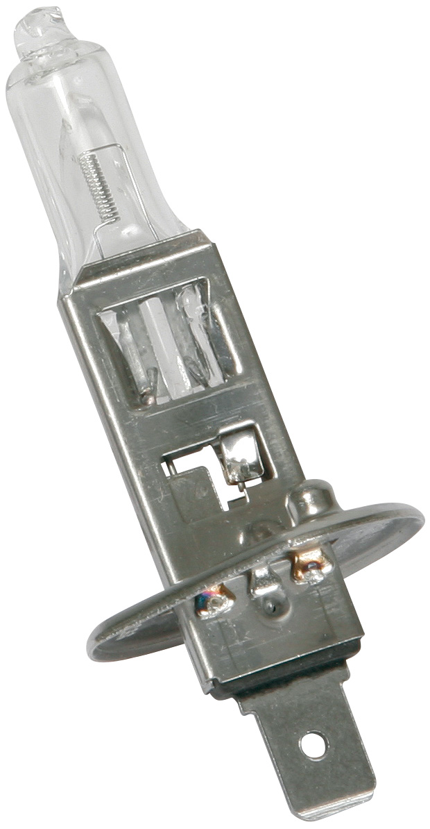 Sandtler Glühlampe H1 · 55W